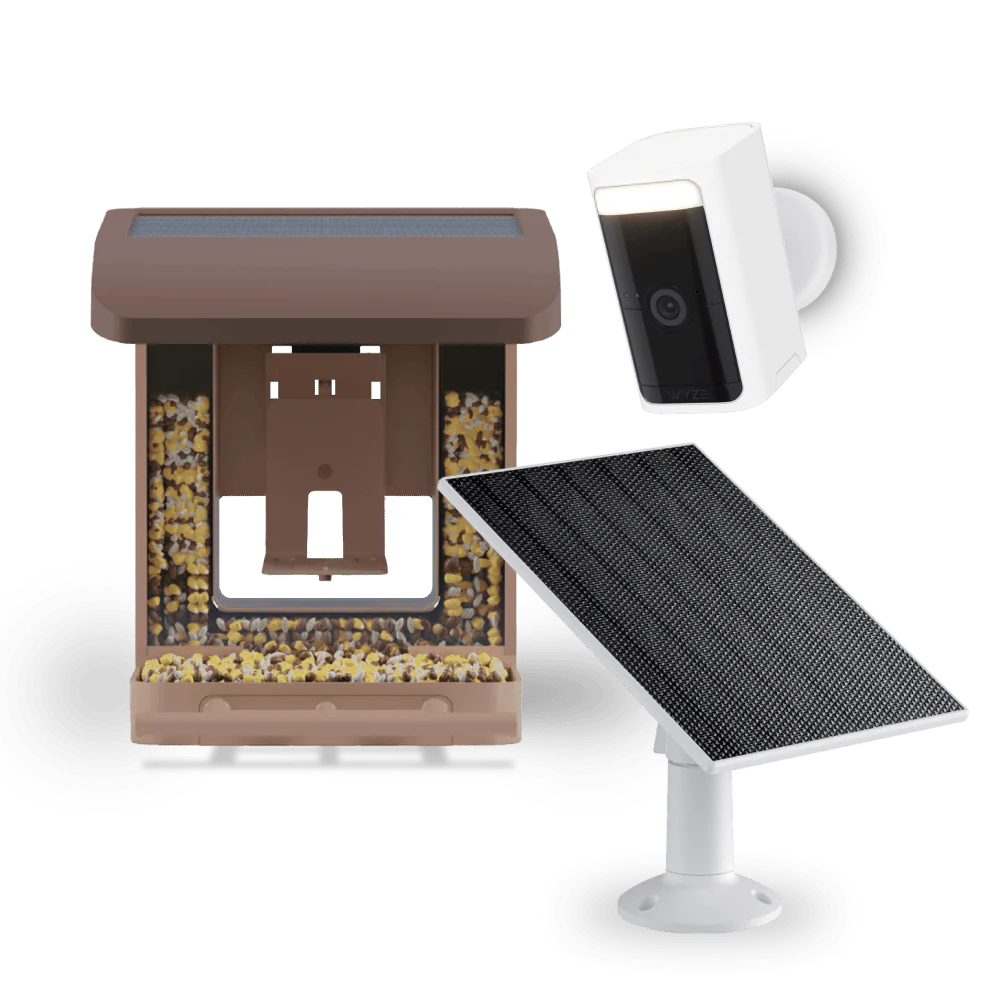 Bird Feeder Wireless Camera Bundle